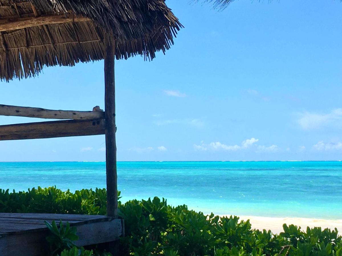 Driftwood Beach Lodge จัมเบียนี ภายนอก รูปภาพ