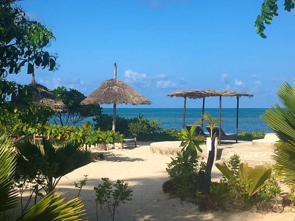 Driftwood Beach Lodge จัมเบียนี ภายนอก รูปภาพ